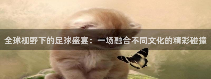 全球视野下的足球盛宴：一场融合不同文化的精彩碰撞